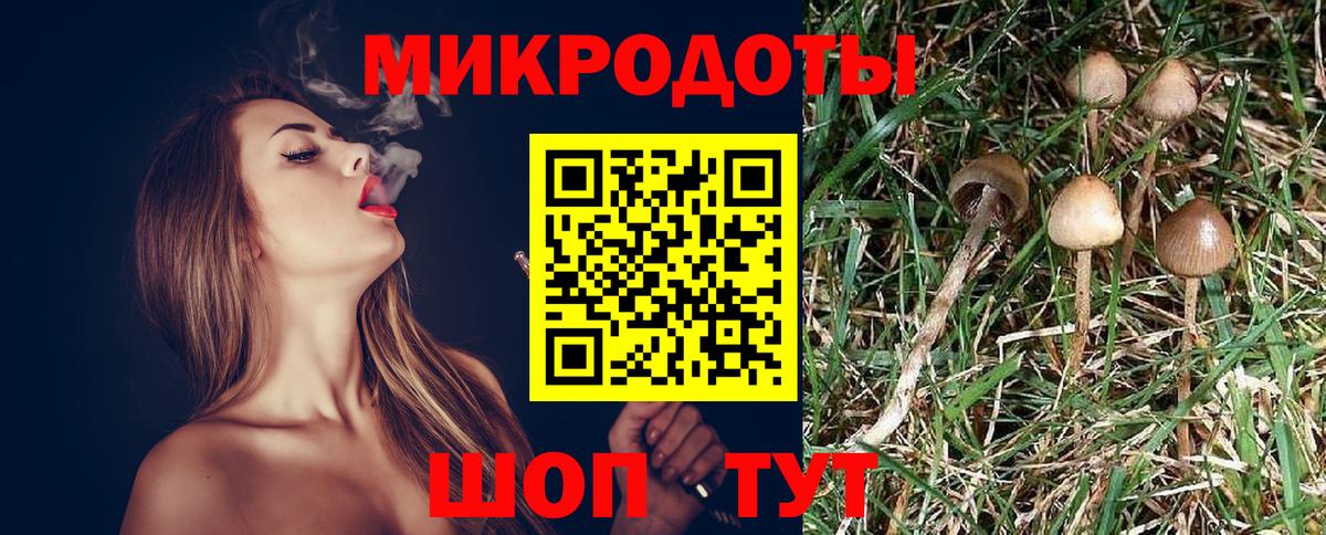 Новочебоксарск  Галлюциногенные грибы прущие грибы  Галлюциногенные грибы Psilocybe  Вход с VPN 