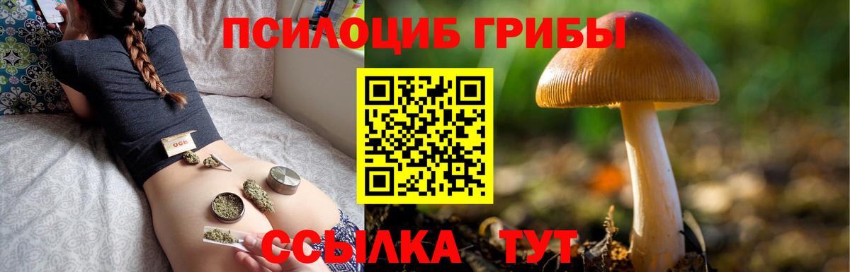Псилоцибиновые грибы Cubensis Новочебоксарск